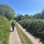 pewsey02