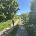 pewsey03
